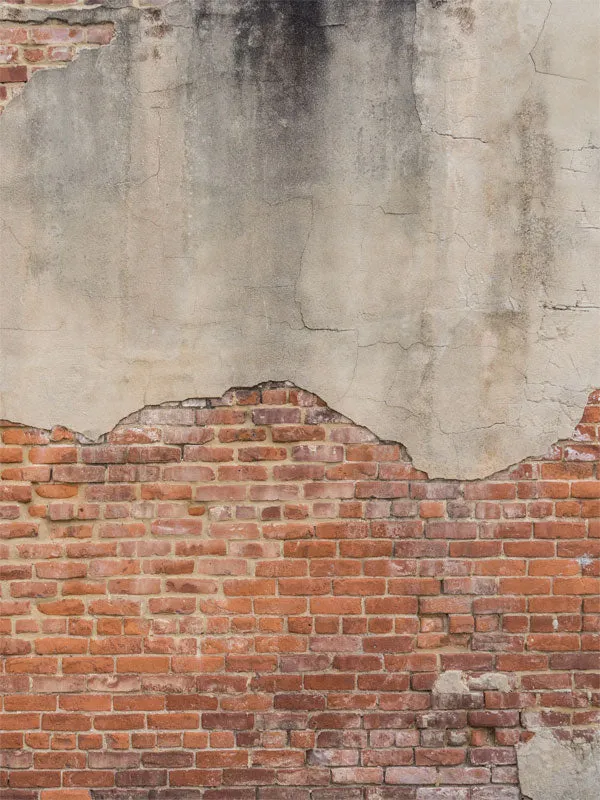 Brick Photography Backdrop-AlleyBrick