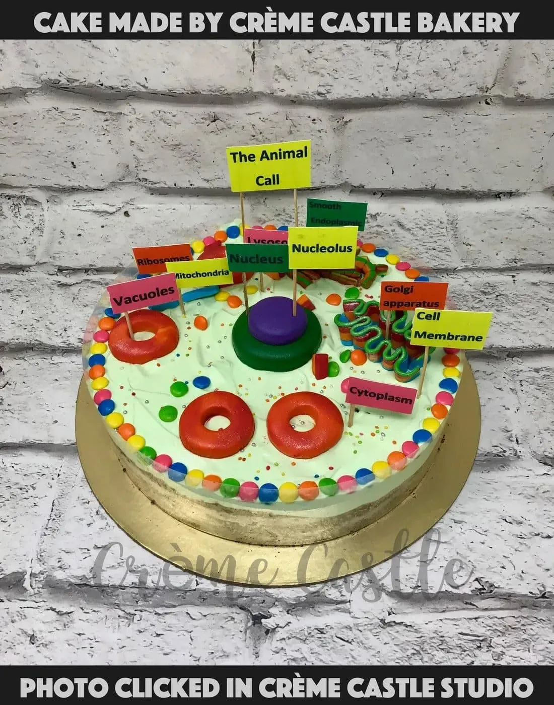 Cell Structure Cake