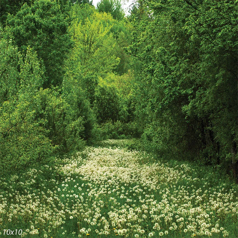 Clover Meadow Backdrop