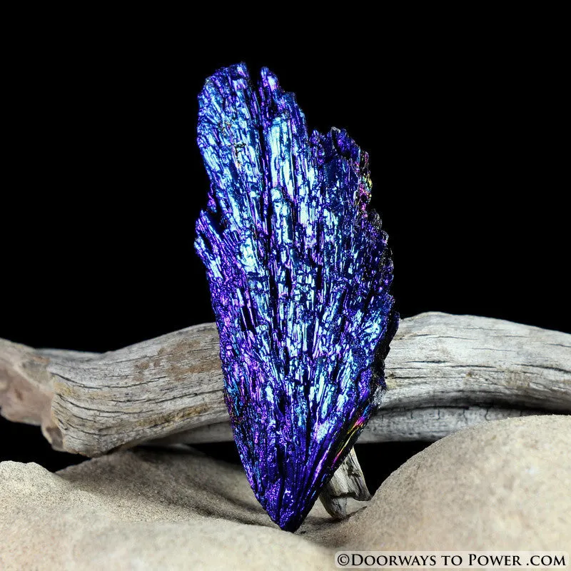 Magical Black Kyanite Peacock Aura Crystal *