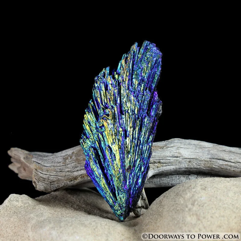 Magical Black Kyanite Peacock Aura Crystal *