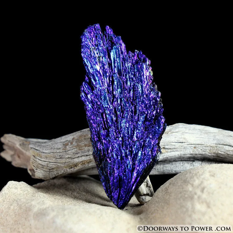 Magical Black Kyanite Peacock Aura Crystal *